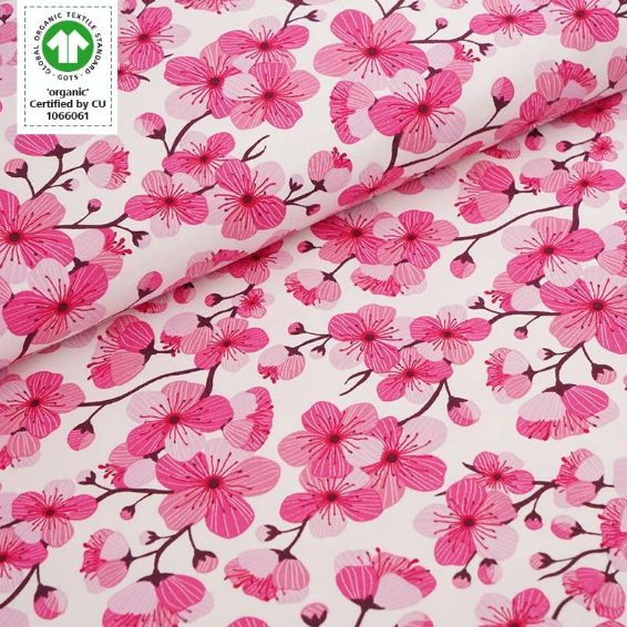 pink cherry blossoms on white background