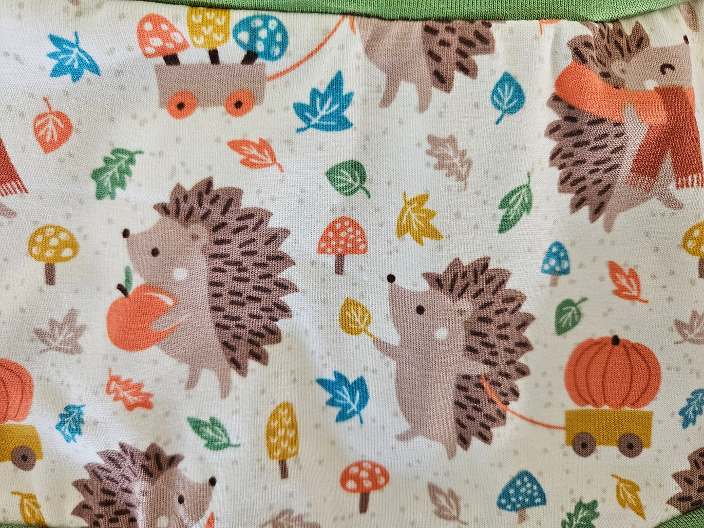 Autumnal hedgehogs organic women's boyleg or brief undies