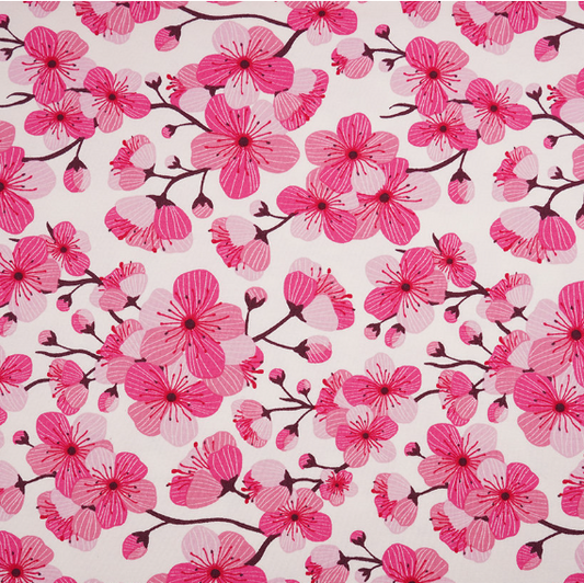 pink cherry blossoms on white background