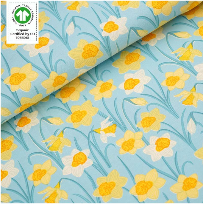 yellow and white daffodils flowers on light blue teal background