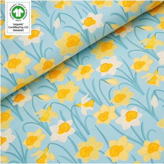 yellow and white daffodils flowers on light blue teal background