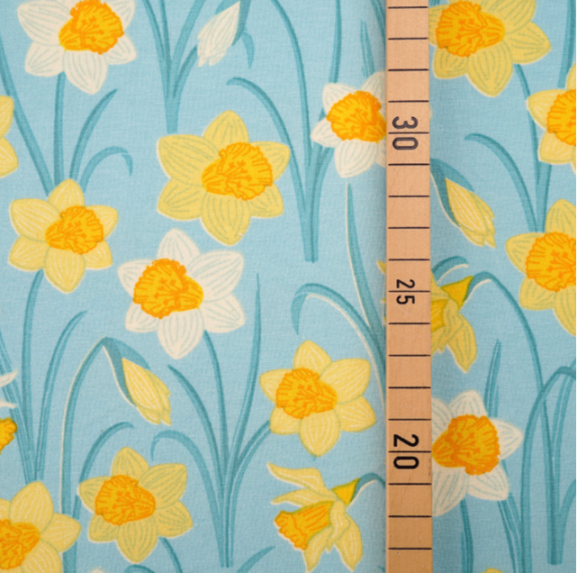 yellow and white daffodils flowers on light blue teal background