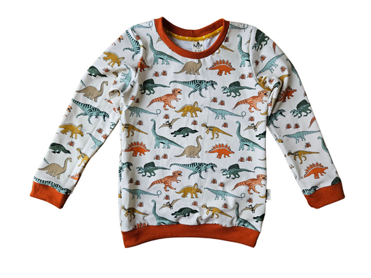 Size 5-6 years READY TO SHIP dinosaurs crew neck sweatshirt
