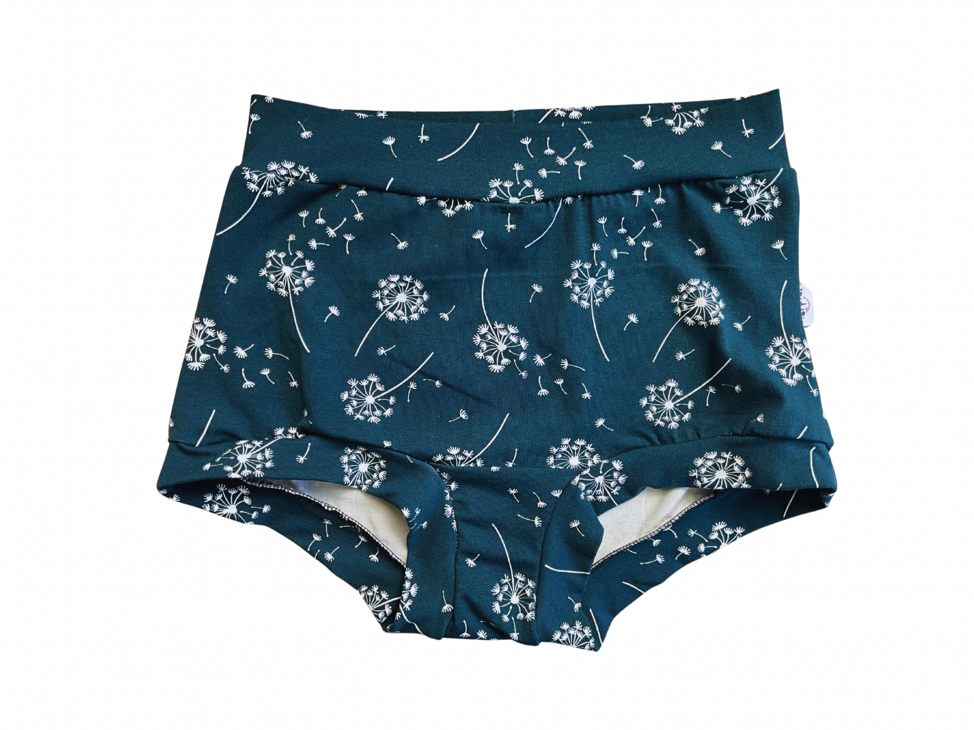 High waisted women’s underpants with dandelions print on dark background 