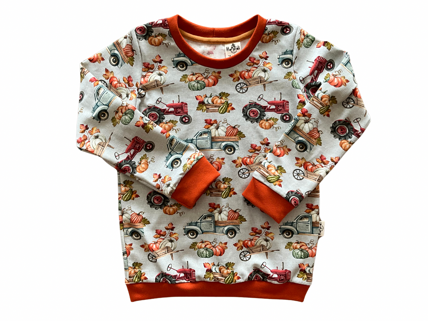 Size 3-4 years READY TO SHIP pumpkin trucks crew neck sweatshirt