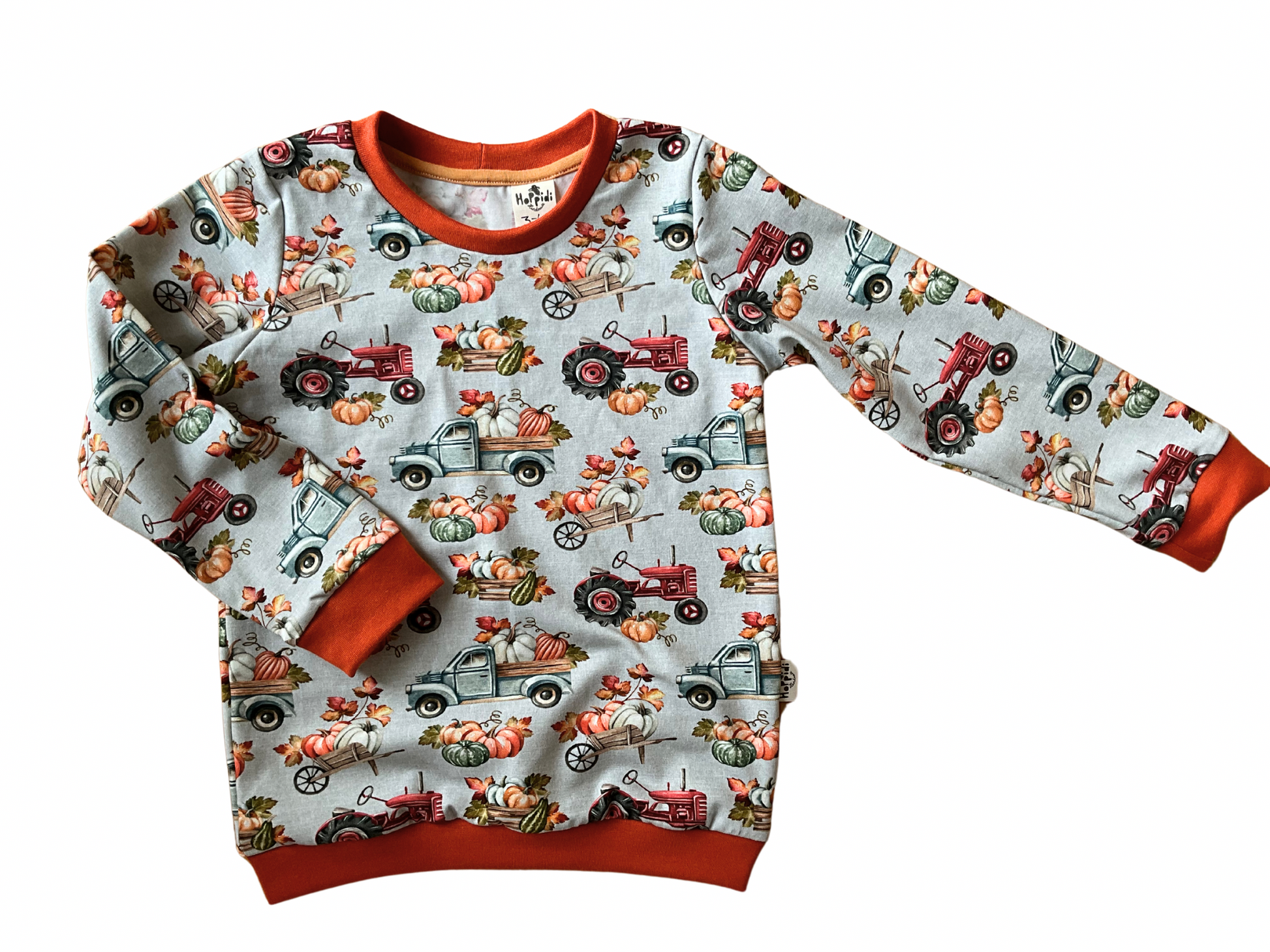 crew neck sweatshirt with pumpkin trucks and tractors.
