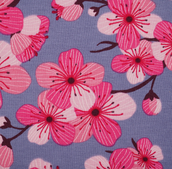 pink cherry blossoms on blue background