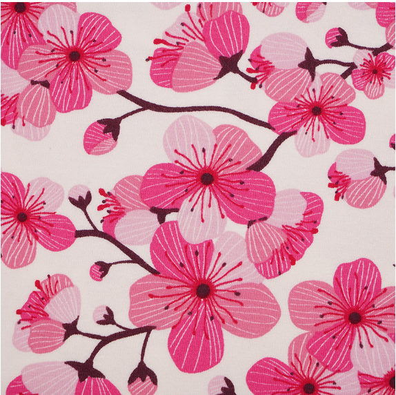 pink cherry blossoms on white background