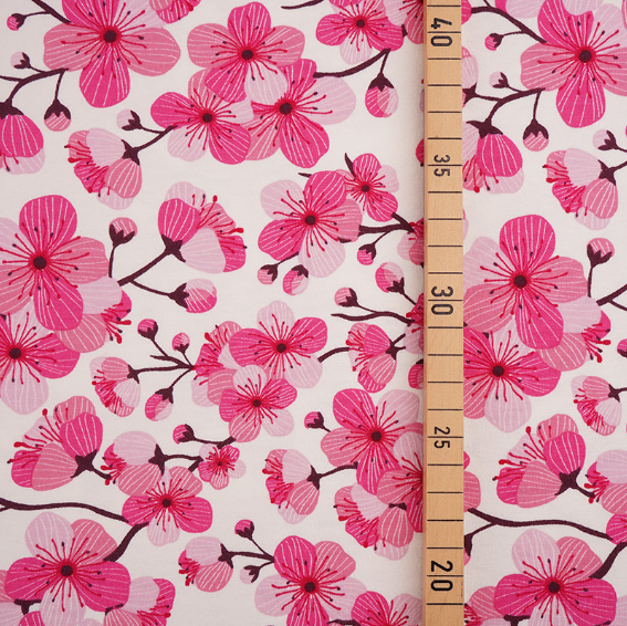 pink cherry blossoms on white background