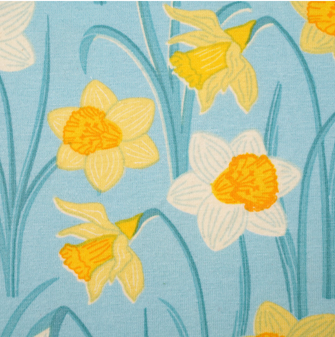 yellow and white daffodils flowers on light blue teal background