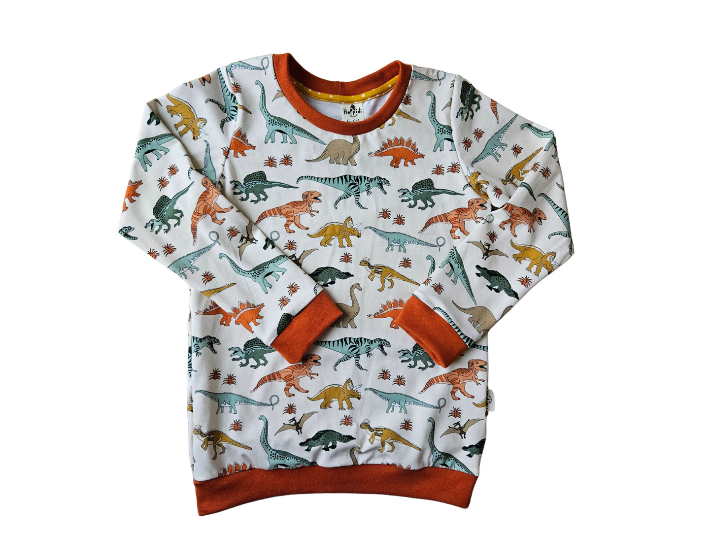Size 5-6 years READY TO SHIP dinosaurs crew neck sweatshirt