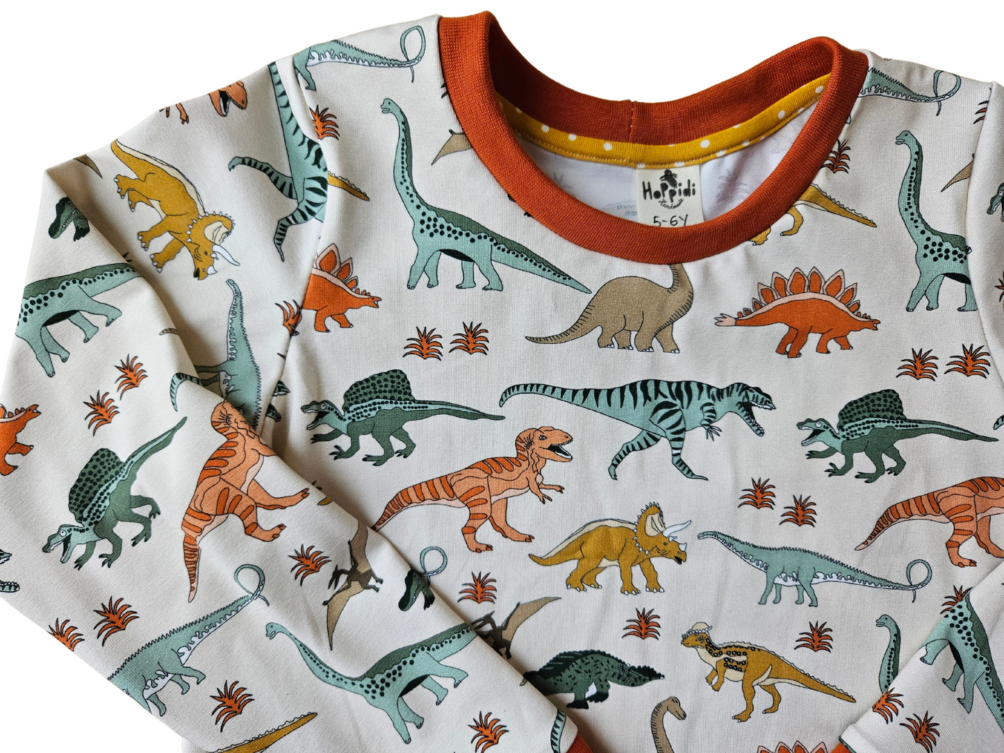 Size 5-6 years READY TO SHIP dinosaurs crew neck sweatshirt