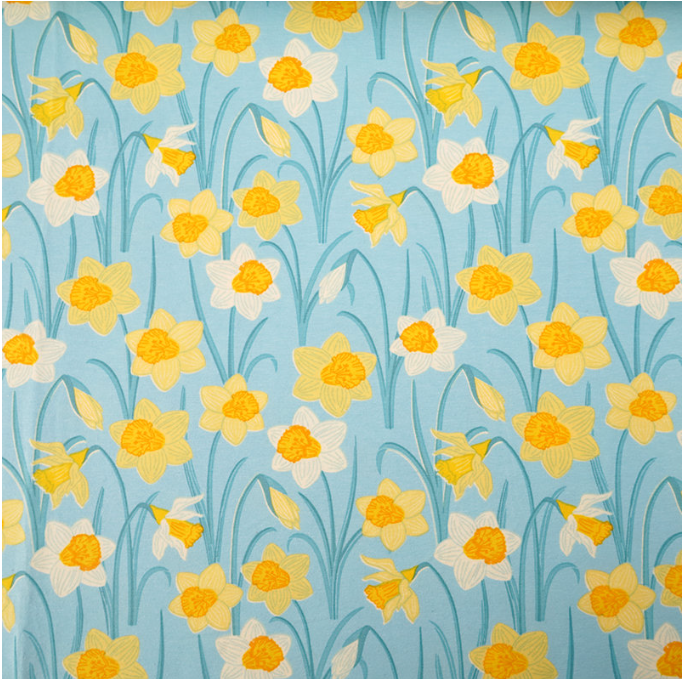 yellow and white daffodils flowers on light blue teal background