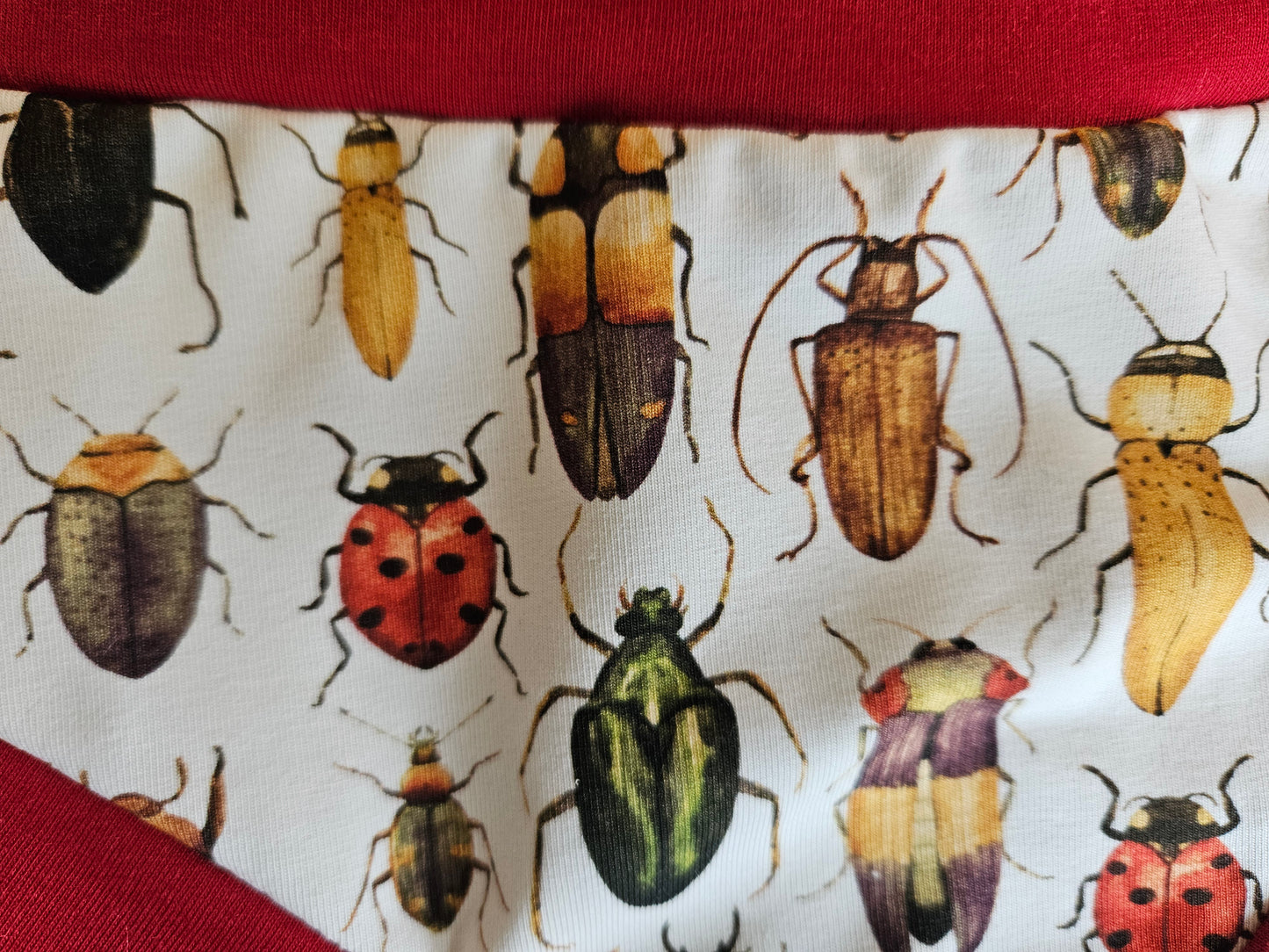 Bugs and crawlers organic women's boyleg or brief undies