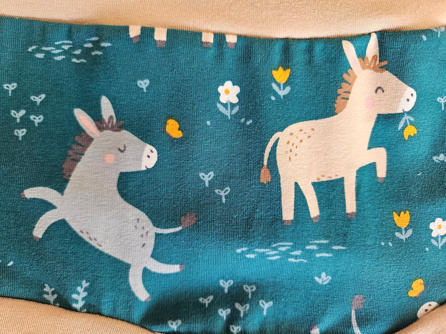 Donkeys Organic Women's Boyleg or Brief Undies