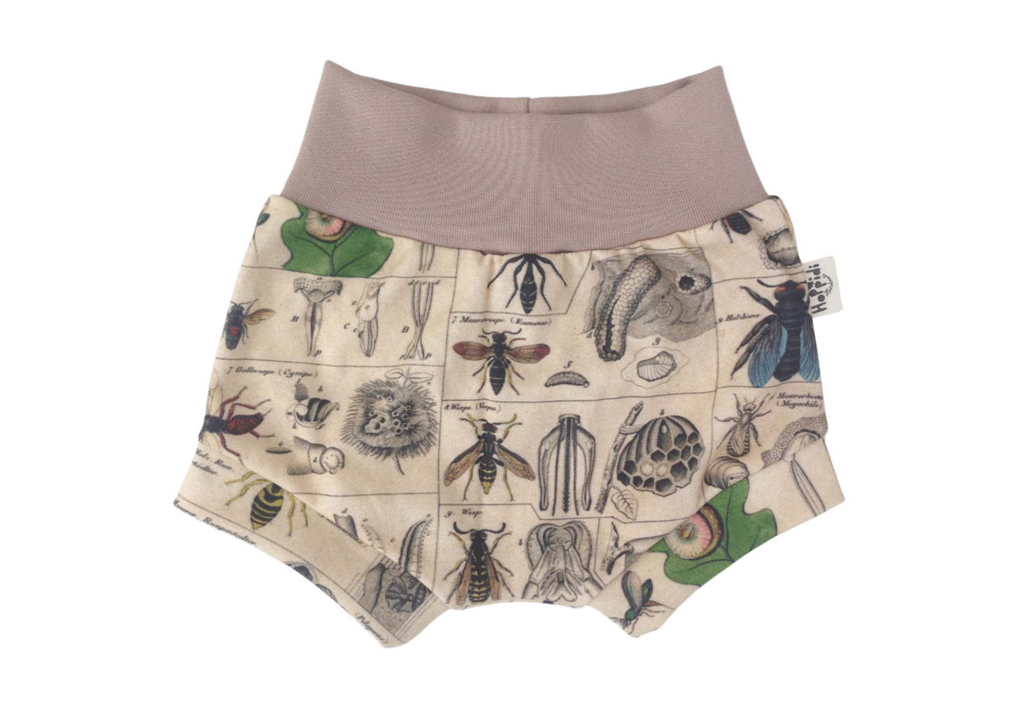 Historical Insects Summer Shorts