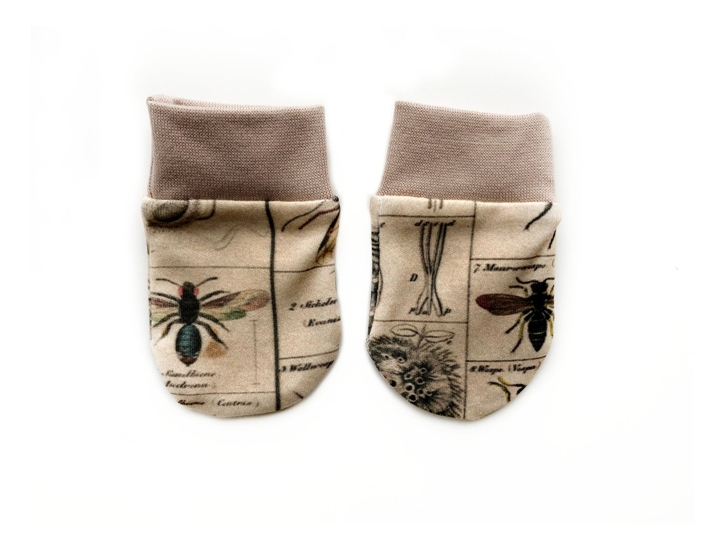 Historical Insects Baby Non-Scratch Mittens
